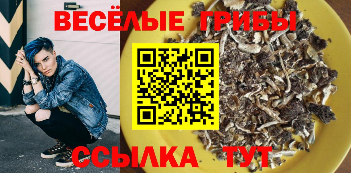Псилоцибиновые грибы прущие грибы  Вход с VPN  Псилоцибиновые грибы Psilocybe  Сатка 