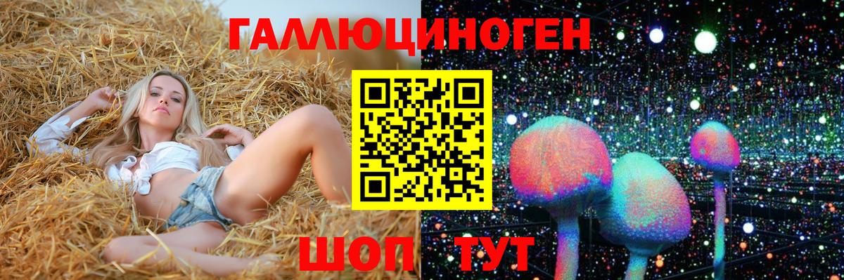 Псилоцибиновые грибы GOLDEN TEACHER Сатка